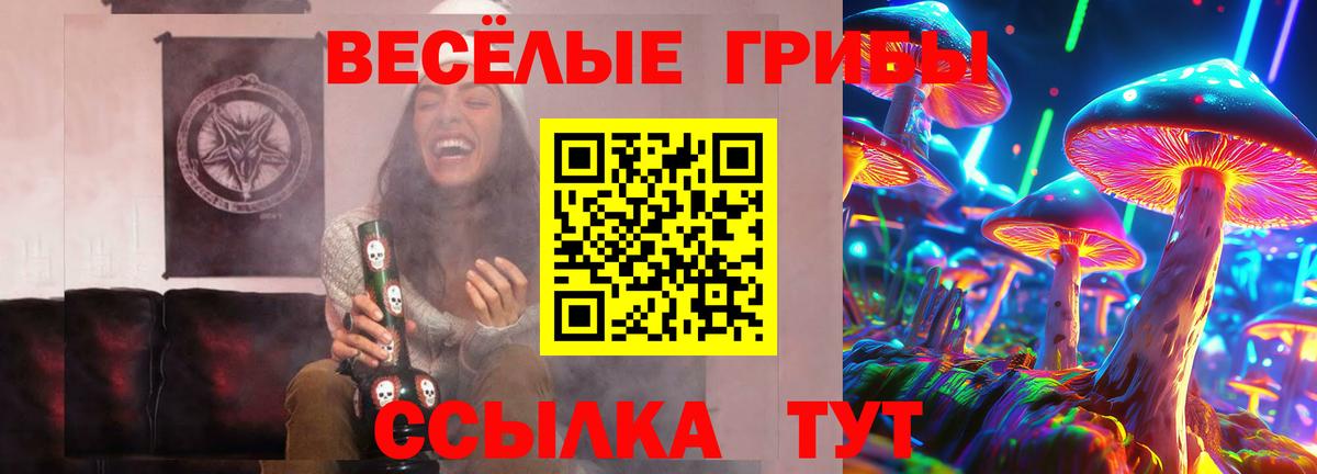 Кизляр  Псилоцибиновые грибы ЛСД  Вход с VPN 